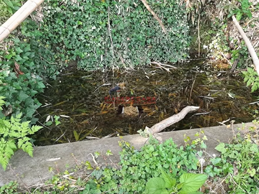 Immagine 10 di Rustico / casale in vendita  in Orvieto a Orvieto