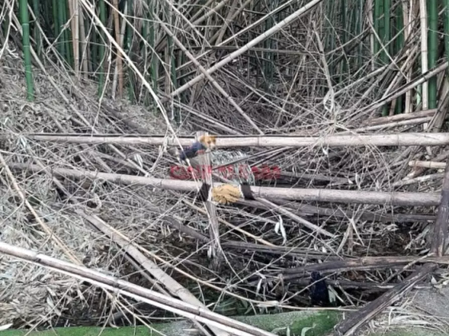 Immagine 11 di Rustico / casale in vendita  in Orvieto a Orvieto