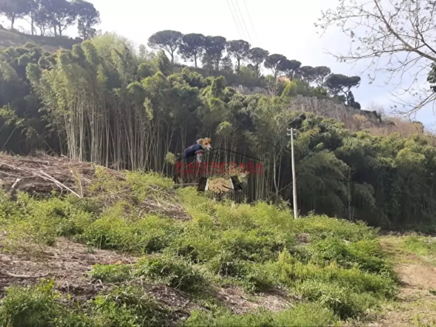 Immagine 12 di Rustico / casale in vendita  in Orvieto a Orvieto