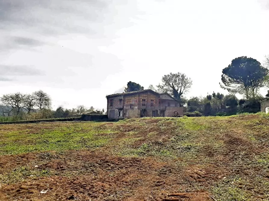 Immagine 14 di Rustico / casale in vendita  in Orvieto a Orvieto