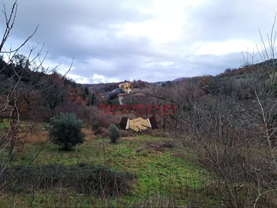 Immagine 3 di Rustico / casale in vendita  in - a Orvieto