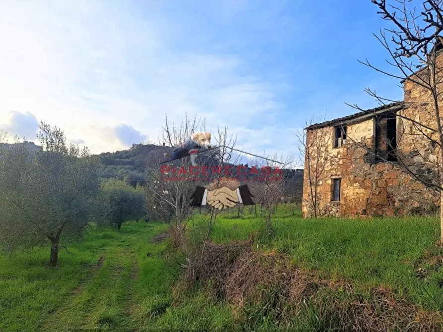 Immagine 21 di Rustico / casale in vendita  in - a Bagnoregio