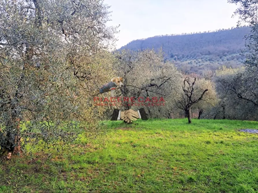 Immagine 22 di Rustico / casale in vendita  in - a Bagnoregio