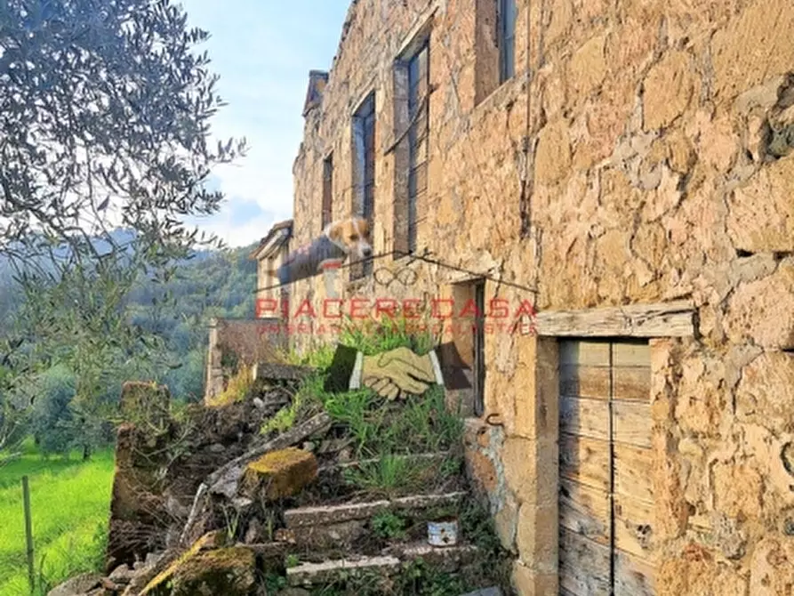 Immagine 23 di Rustico / casale in vendita  in - a Bagnoregio