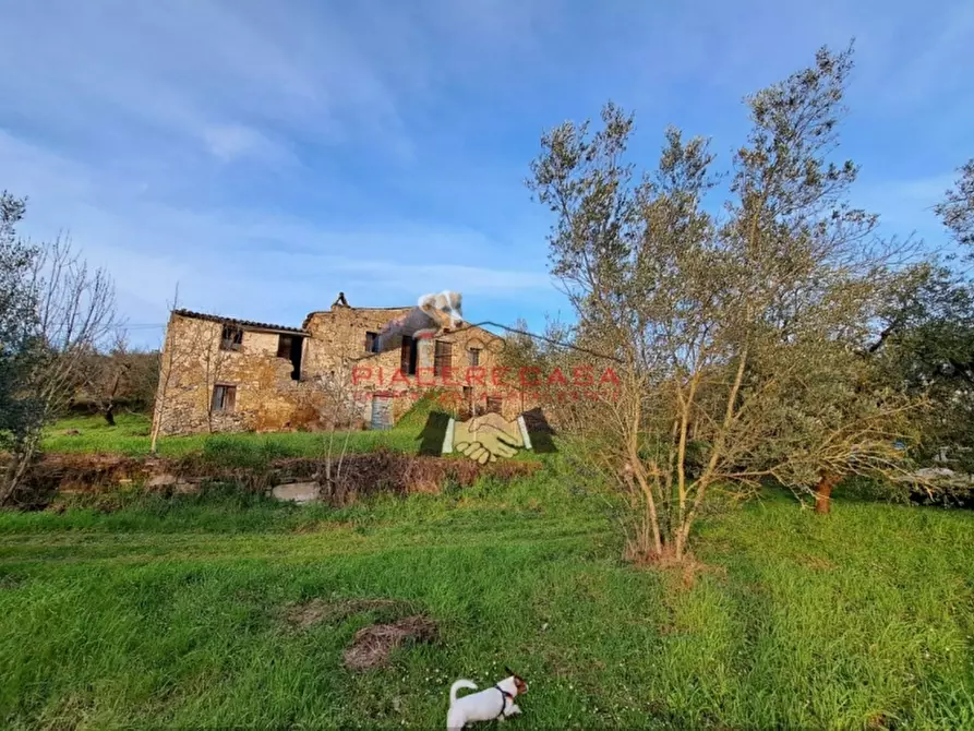 Immagine 26 di Rustico / casale in vendita  in - a Bagnoregio