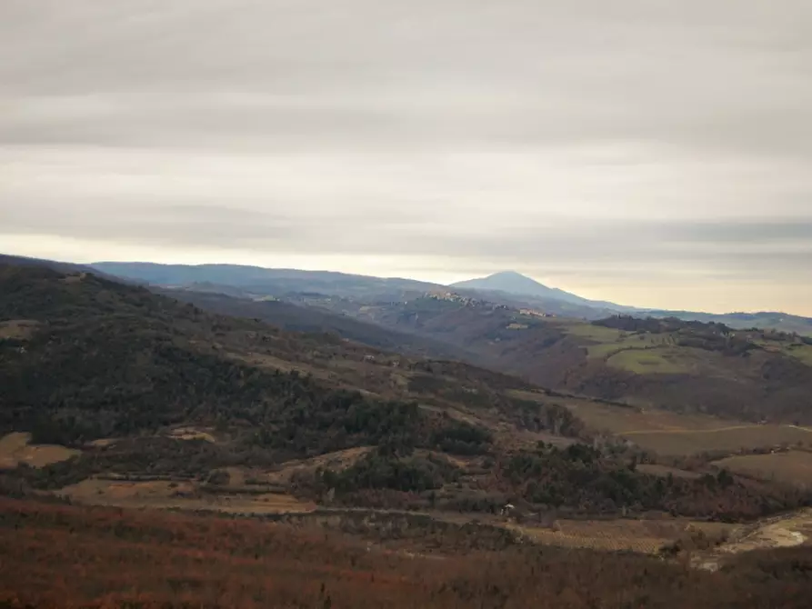 Immagine 19 di Appartamento in vendita  in - a Castel Viscardo