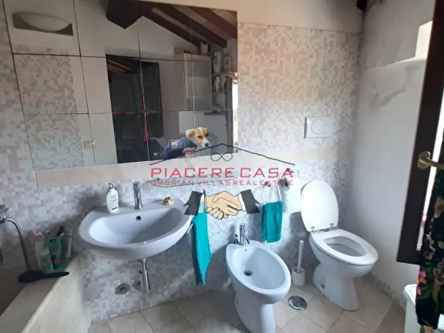 Immagine 16 di Terratetto in vendita  in - a Castel Viscardo