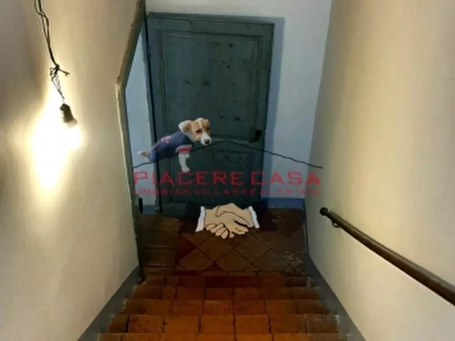 Immagine 20 di Terratetto in vendita  in - a Castel Viscardo
