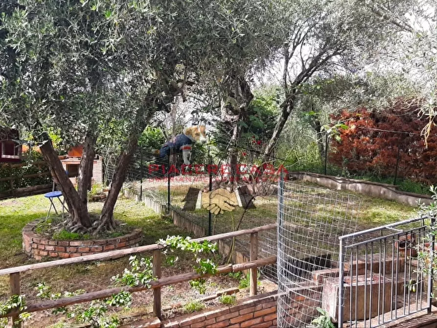 Immagine 22 di Terratetto in vendita  in - a Castel Viscardo