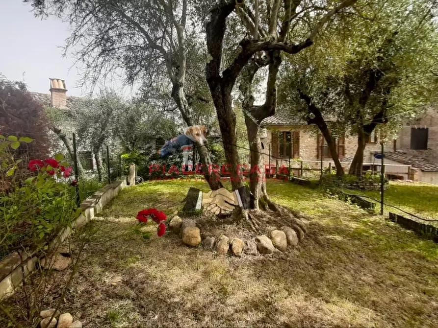 Immagine 23 di Terratetto in vendita  in - a Castel Viscardo