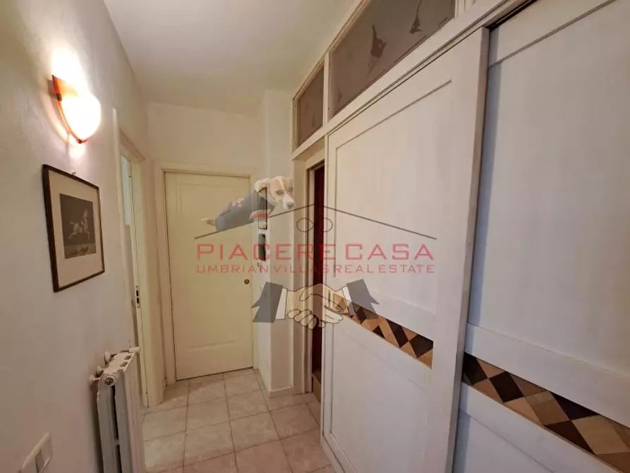 Immagine 11 di Appartamento in vendita  in Orvieto scalo a Orvieto