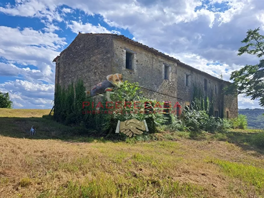 Immagine 18 di Rustico / casale in vendita  in CIRCONDARIO DI ORVIETO a Orvieto