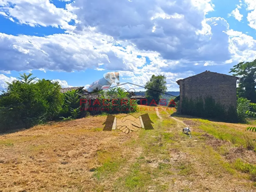 Immagine 19 di Rustico / casale in vendita  in CIRCONDARIO DI ORVIETO a Orvieto