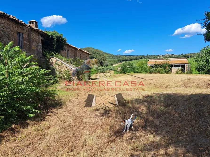Immagine 20 di Rustico / casale in vendita  in CIRCONDARIO DI ORVIETO a Orvieto