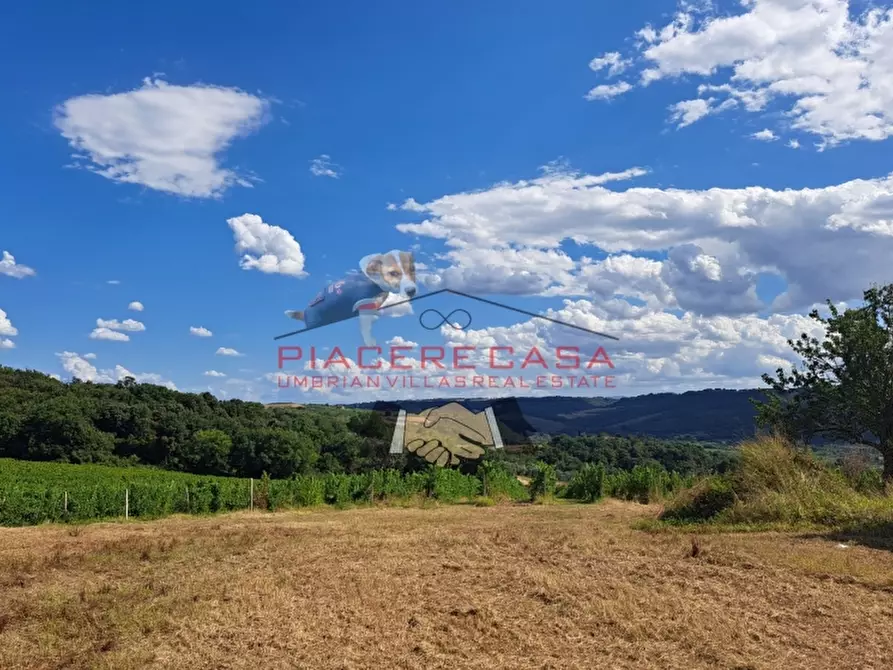 Immagine 28 di Rustico / casale in vendita  in CIRCONDARIO DI ORVIETO a Orvieto