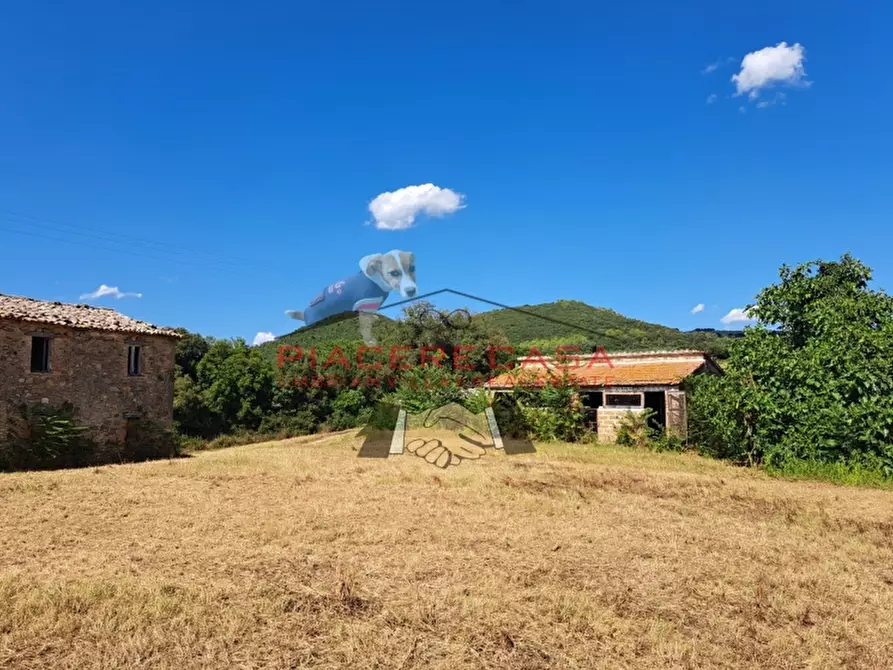 Immagine 32 di Rustico / casale in vendita  in CIRCONDARIO DI ORVIETO a Orvieto