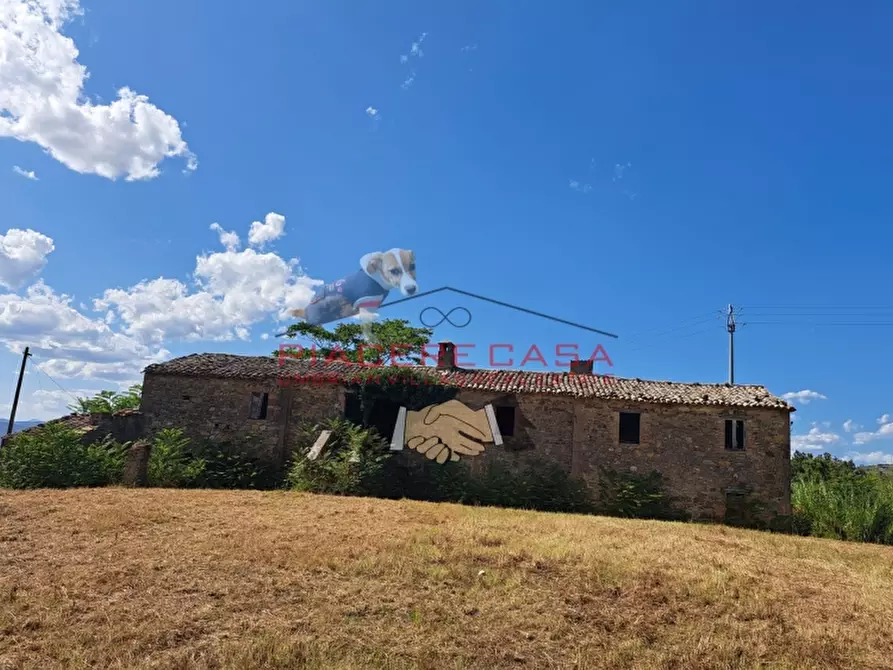 Immagine 34 di Rustico / casale in vendita  in CIRCONDARIO DI ORVIETO a Orvieto
