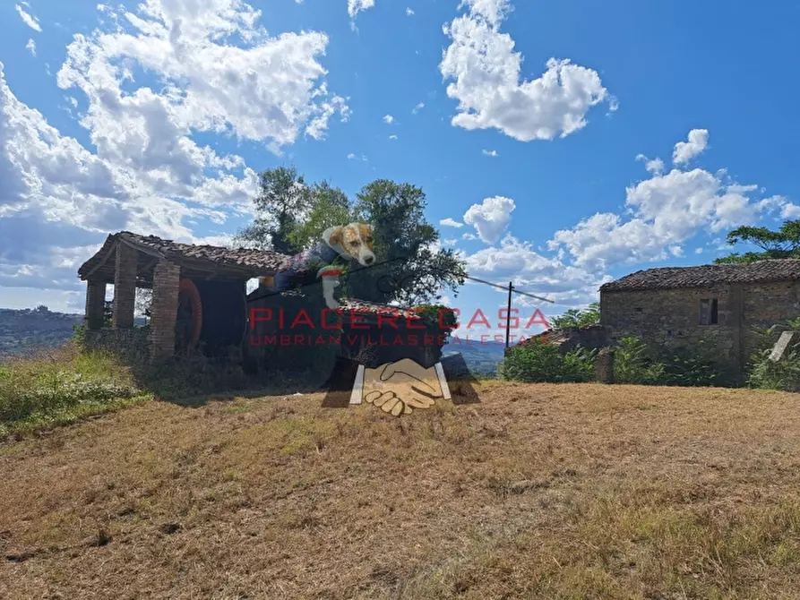 Immagine 6 di Rustico / casale in vendita  in CIRCONDARIO DI ORVIETO a Orvieto