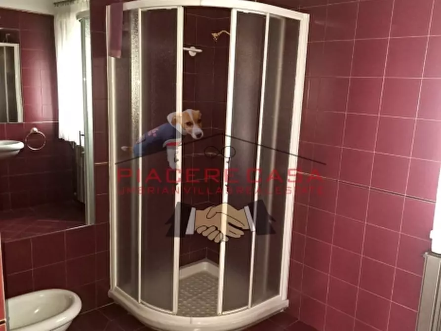 Immagine 30 di Appartamento in vendita  in Via Po a Viterbo