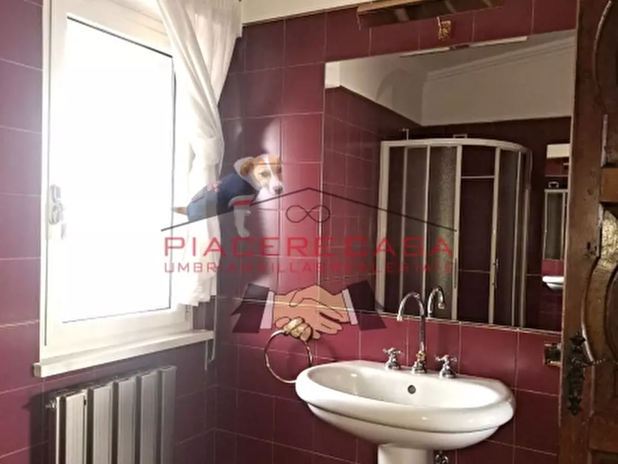 Immagine 33 di Appartamento in vendita  in Via Po a Viterbo