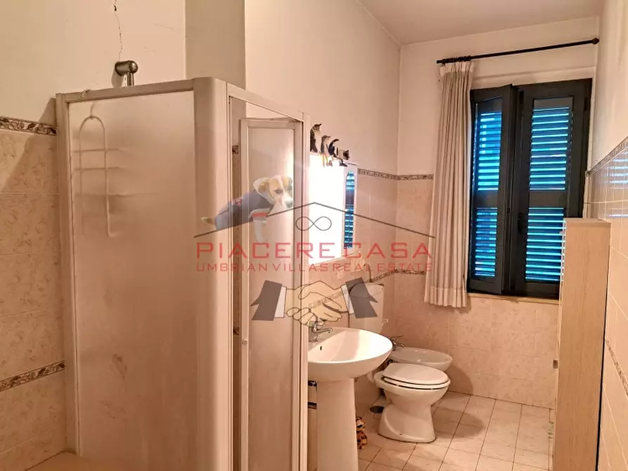 Immagine 8 di Appartamento in vendita  in Orvieto scalo a Orvieto