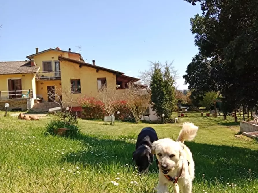 Immagine 10 di Villa in vendita  in Castel giorgio a Castel Giorgio