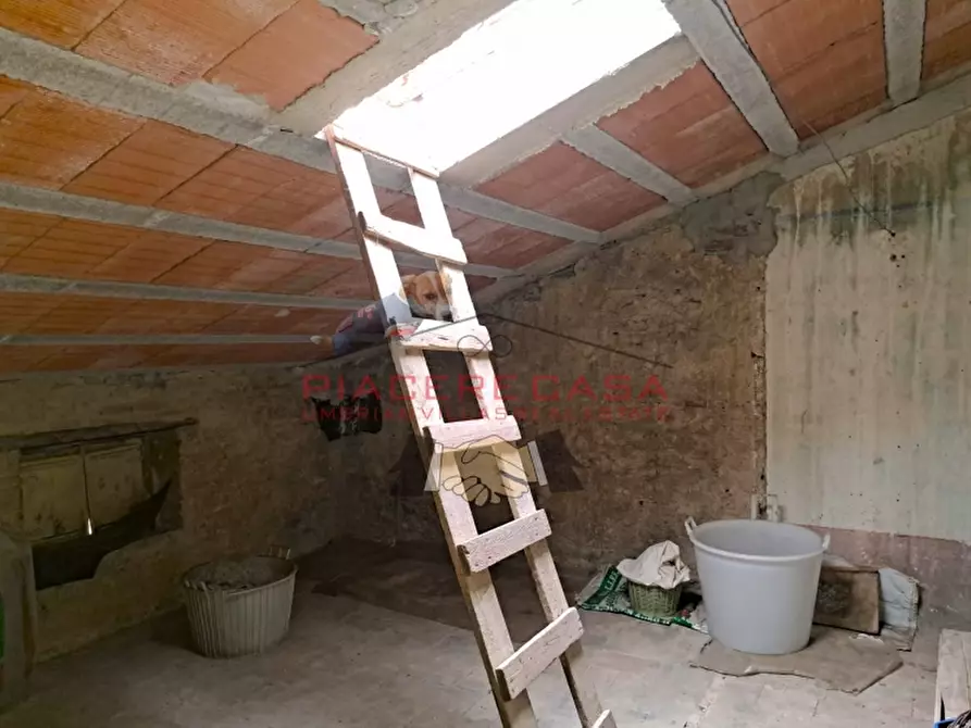 Immagine 18 di Terratetto in vendita  in Castel Viscardo a Castel Viscardo