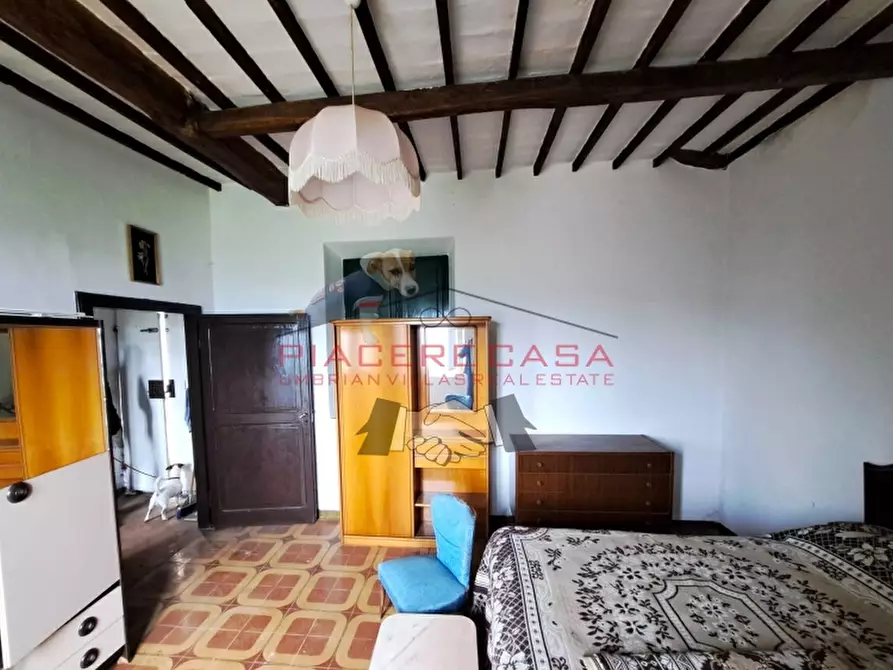 Immagine 23 di Casa indipendente in vendita  in Porano a Porano