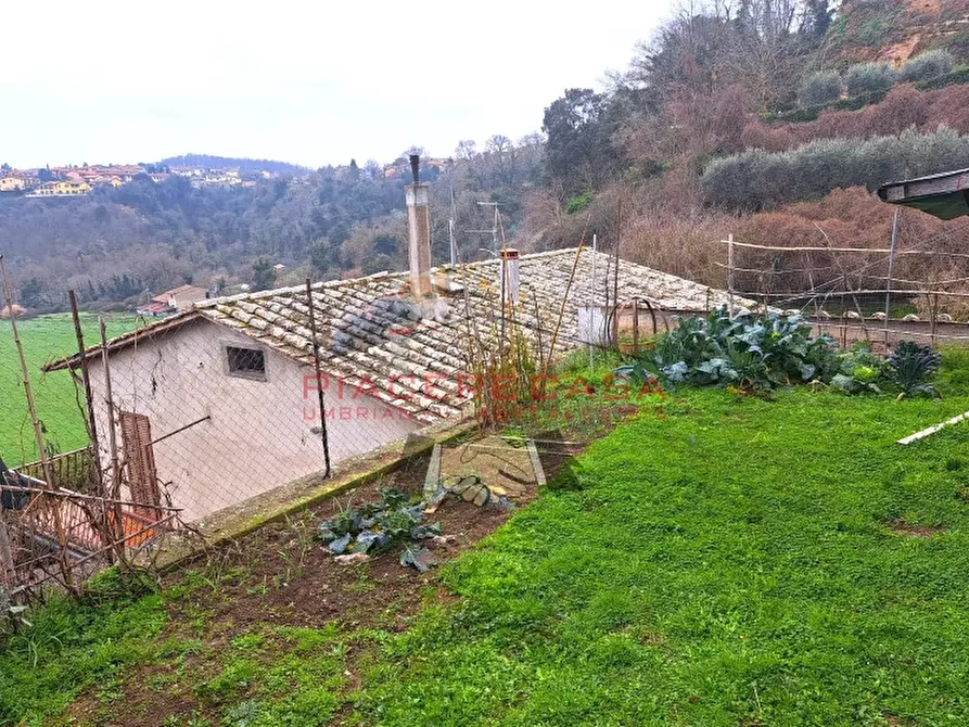 Immagine 24 di Casa indipendente in vendita  in Porano a Porano