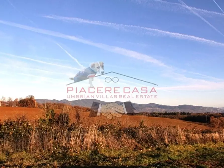 Immagine 6 di Rustico / casale in vendita  in Lubriano a Lubriano