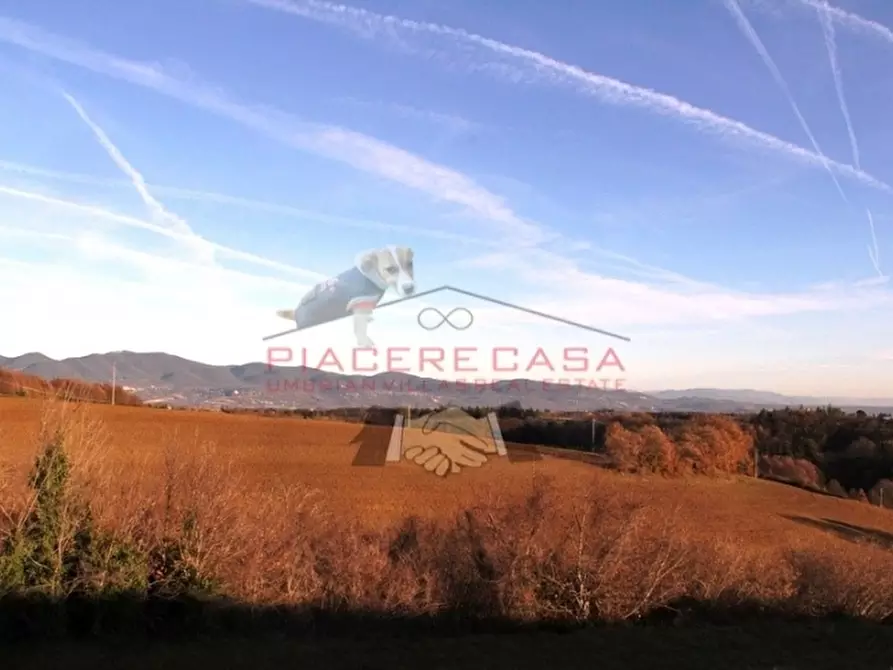 Immagine 5 di Rustico / casale in vendita  in Lubriano a Lubriano