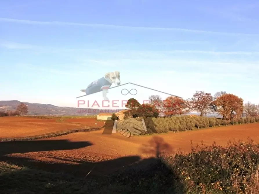 Immagine 9 di Rustico / casale in vendita  in Lubriano a Lubriano