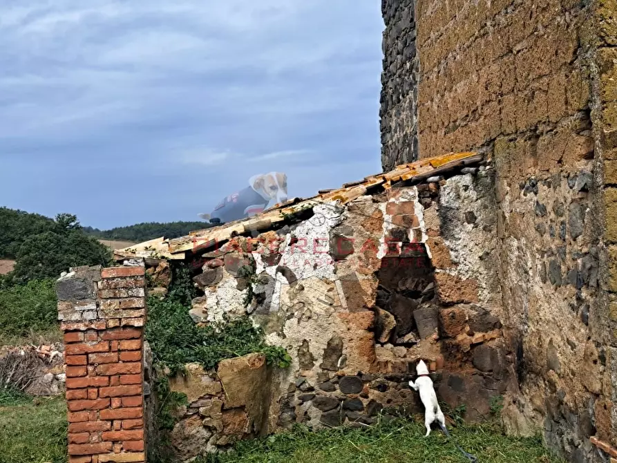 Immagine 17 di Rustico / casale in vendita  in Lubriano a Lubriano