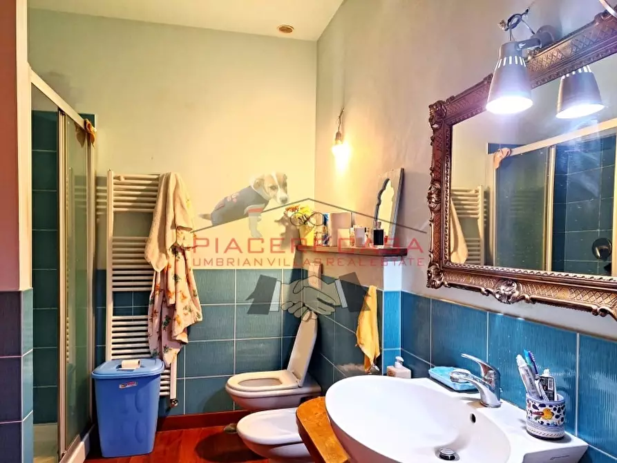 Immagine 33 di Appartamento in vendita  a Orvieto