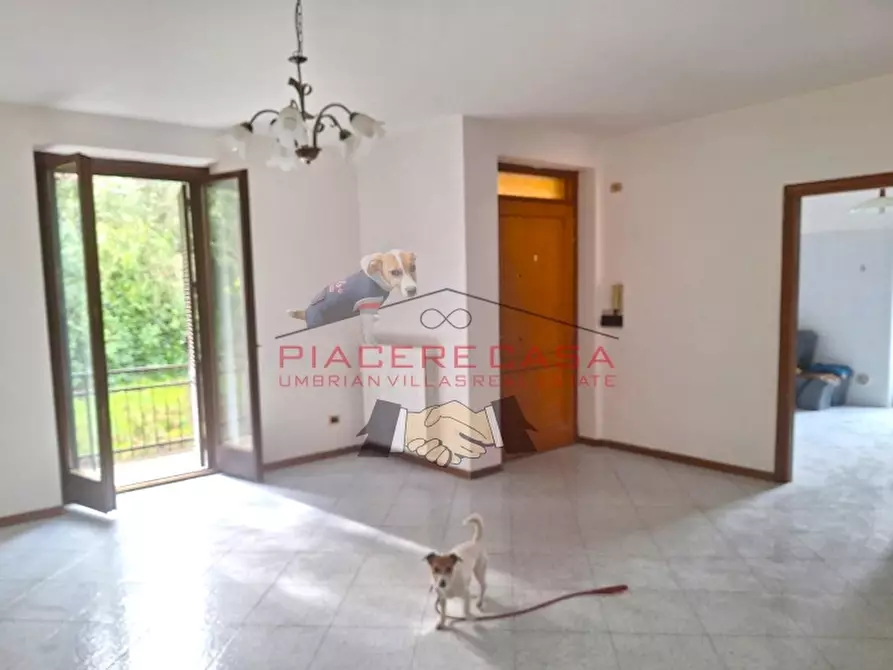 Immagine 3 di Appartamento in vendita  in Porano a Porano