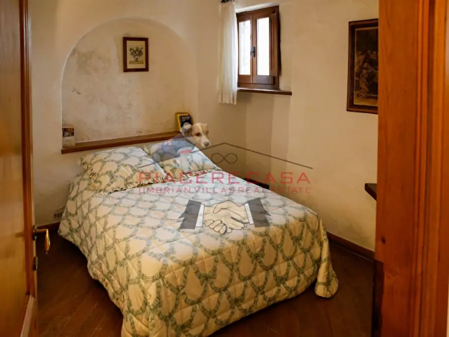 Immagine 22 di Rustico / casale in vendita  in Monteleone d'Orvieto a Monteleone D'orvieto