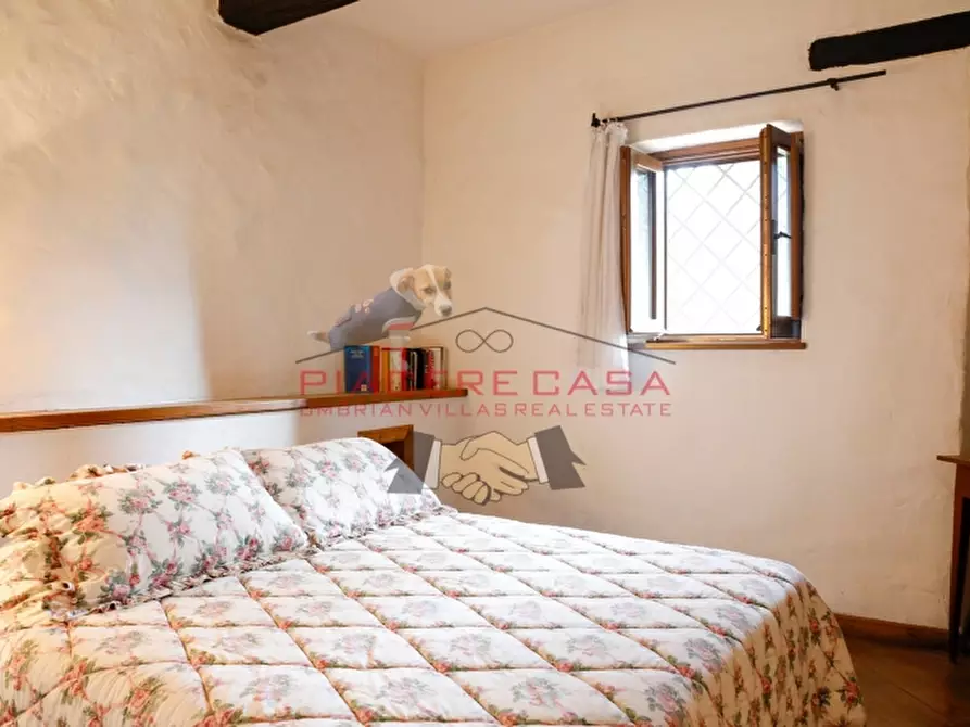 Immagine 27 di Rustico / casale in vendita  in Monteleone d'Orvieto a Monteleone D'orvieto