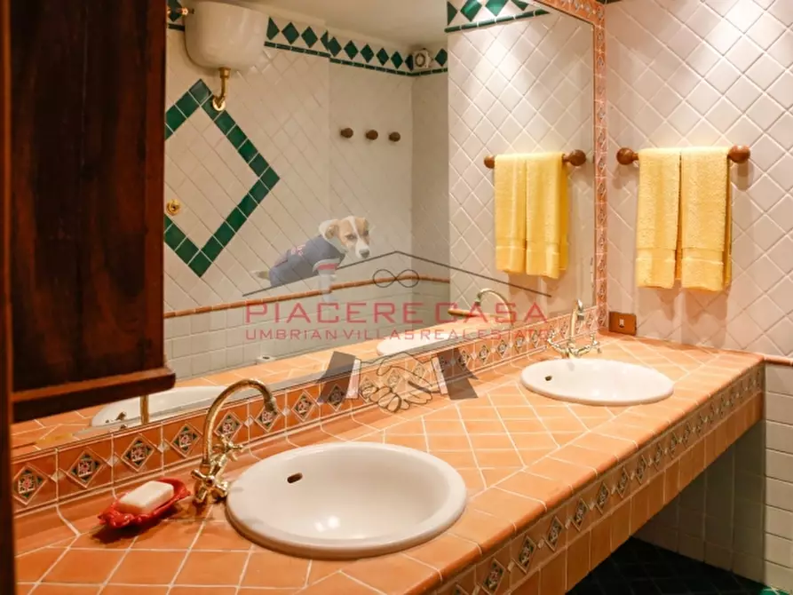 Immagine 29 di Rustico / casale in vendita  in Monteleone d'Orvieto a Monteleone D'orvieto