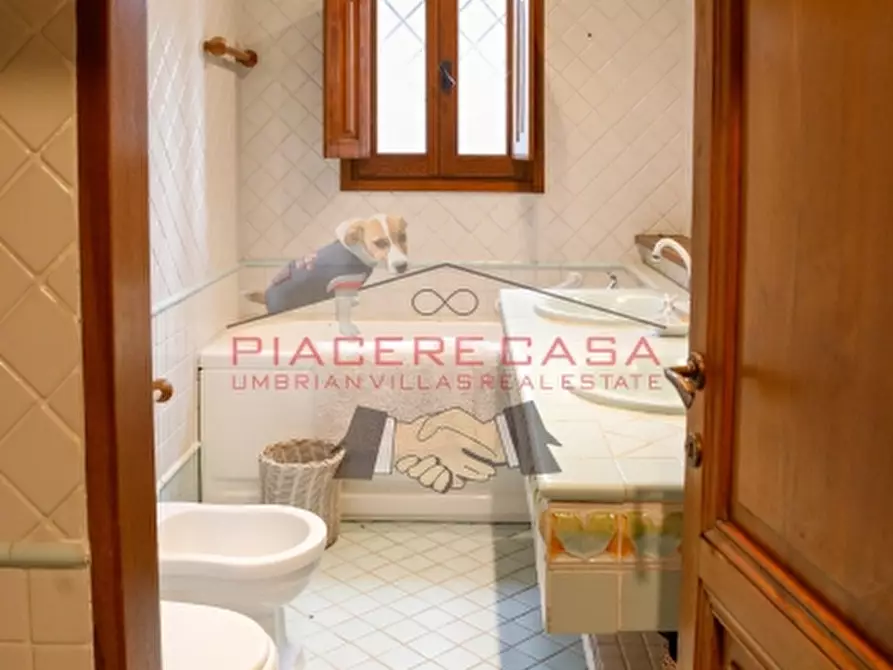 Immagine 30 di Rustico / casale in vendita  in Monteleone d'Orvieto a Monteleone D'orvieto