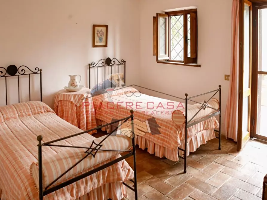 Immagine 33 di Rustico / casale in vendita  in Monteleone d'Orvieto a Monteleone D'orvieto