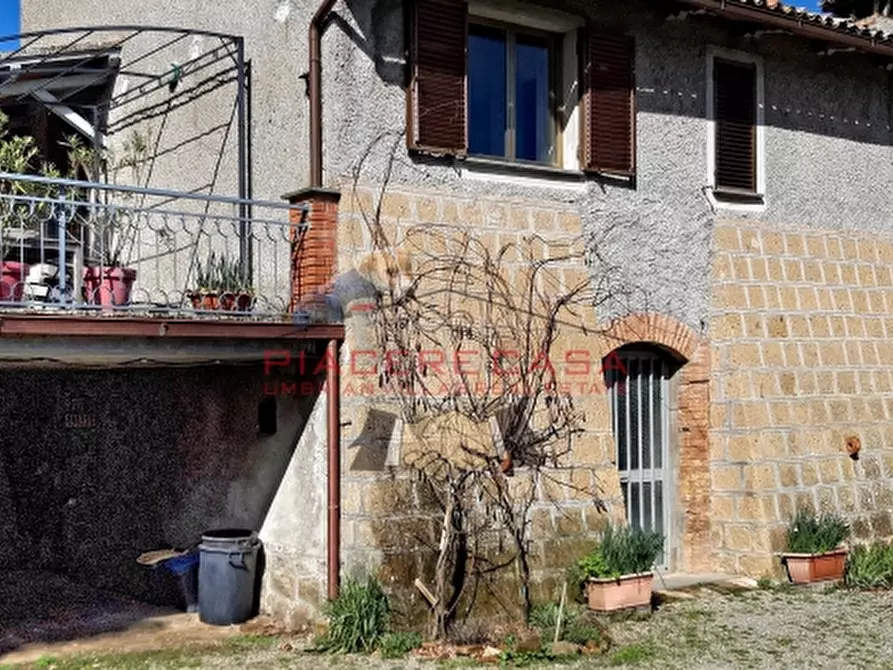 Immagine 4 di Rustico / casale in vendita  in Porano a Porano