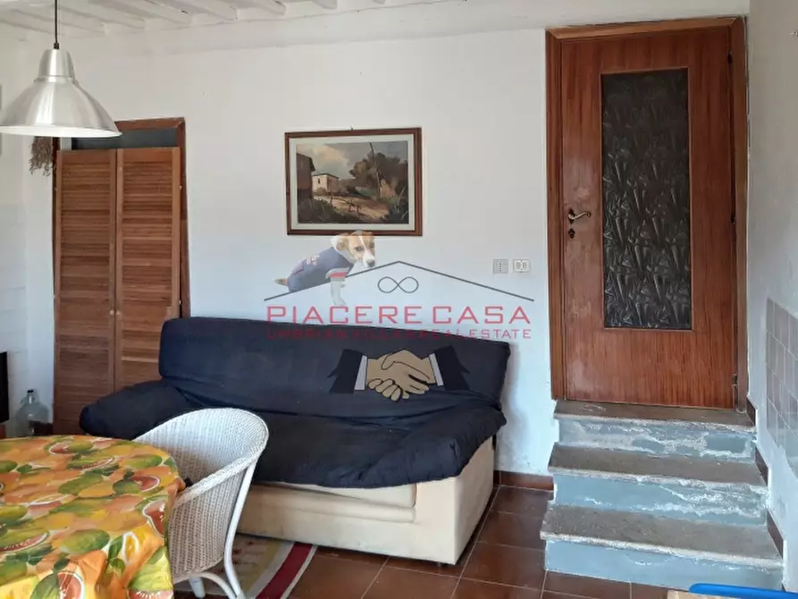 Immagine 24 di Rustico / casale in vendita  in Porano a Porano