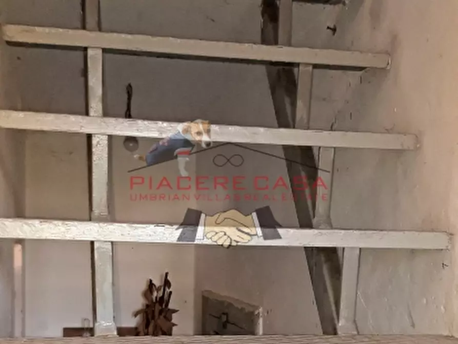 Immagine 27 di Rustico / casale in vendita  in Porano a Porano