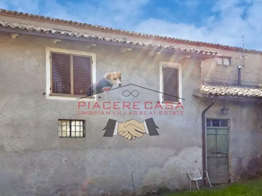 Immagine 30 di Rustico / casale in vendita  in Porano a Porano