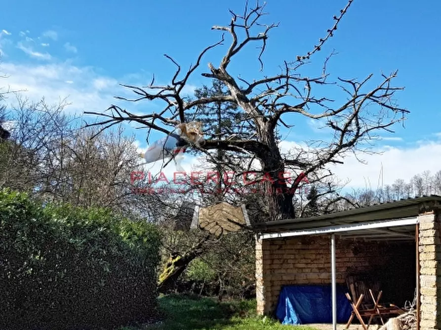 Immagine 36 di Rustico / casale in vendita  in Porano a Porano