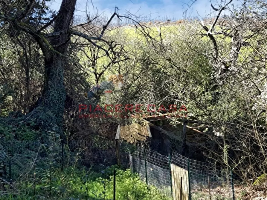 Immagine 38 di Rustico / casale in vendita  in Porano a Porano