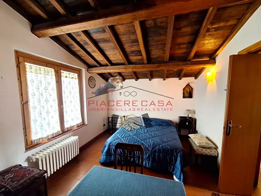 Immagine 5 di Villa in vendita  in Acquapendente a Acquapendente