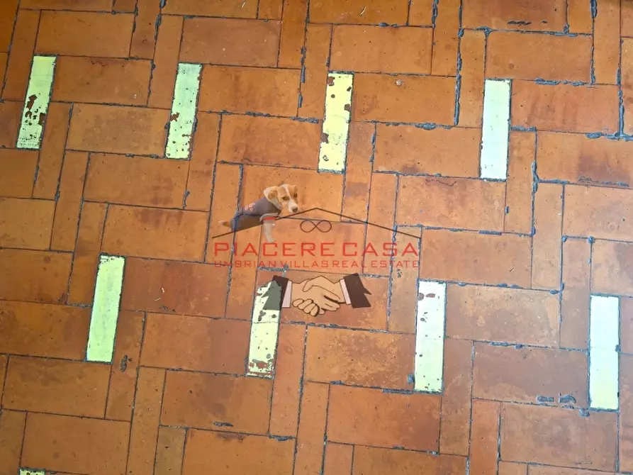 Immagine 9 di Villa in vendita  in Acquapendente a Acquapendente