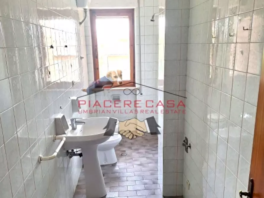 Immagine 24 di Appartamento in vendita  in Orvieto Ciconia a Orvieto