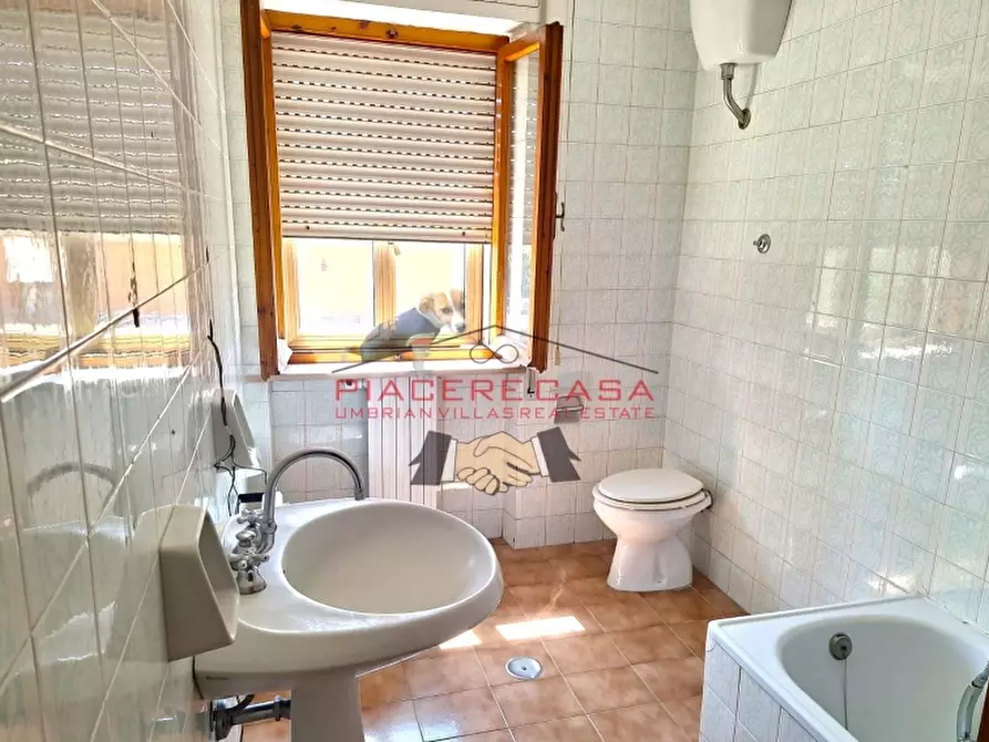 Immagine 26 di Appartamento in vendita  in Orvieto Ciconia a Orvieto